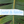 Coastal Addiction Sticker Medium