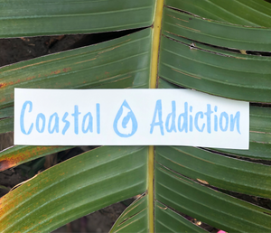 Coastal Addiction Sticker Medium